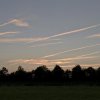 _DSC1459